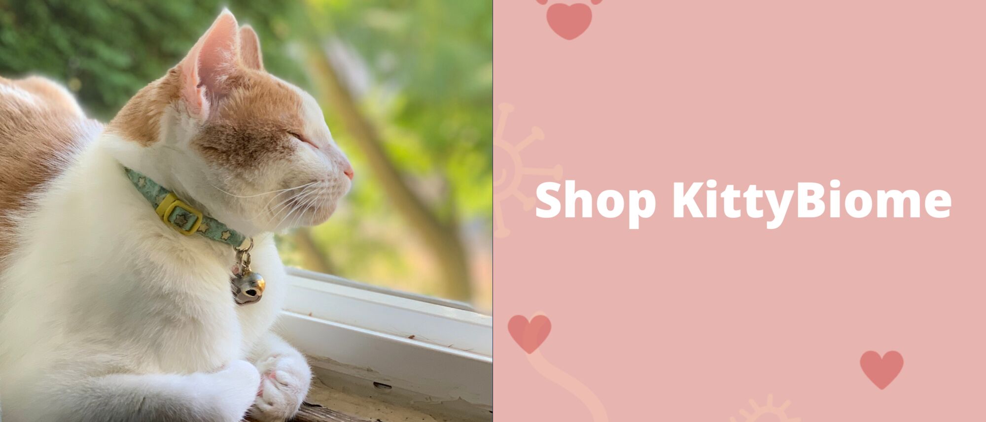 Shop KittyBiome