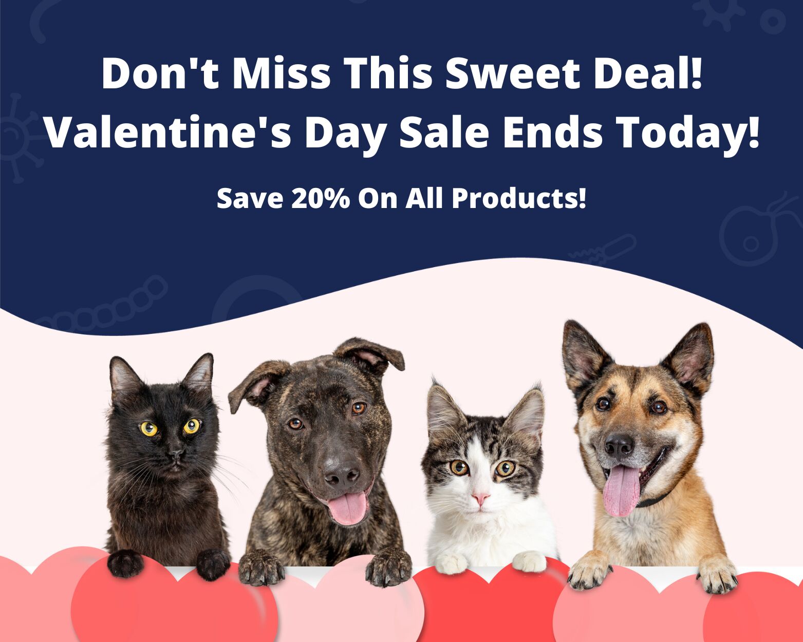 Give The Best To the One You Love: Save 20% On Carts of Two Items or More!